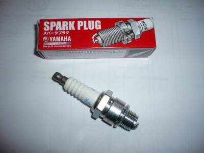 BR7HS spark plugs